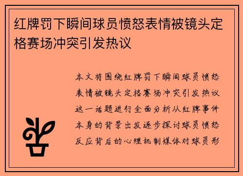 红牌罚下瞬间球员愤怒表情被镜头定格赛场冲突引发热议