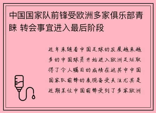 中国国家队前锋受欧洲多家俱乐部青睐 转会事宜进入最后阶段