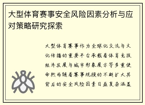大型体育赛事安全风险因素分析与应对策略研究探索